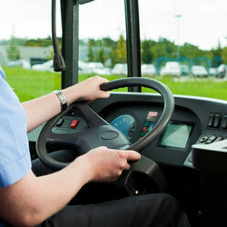 Person driving school bus